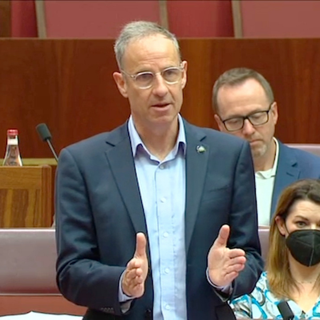 Picture of Senator Nick McKim speaking in the Senate