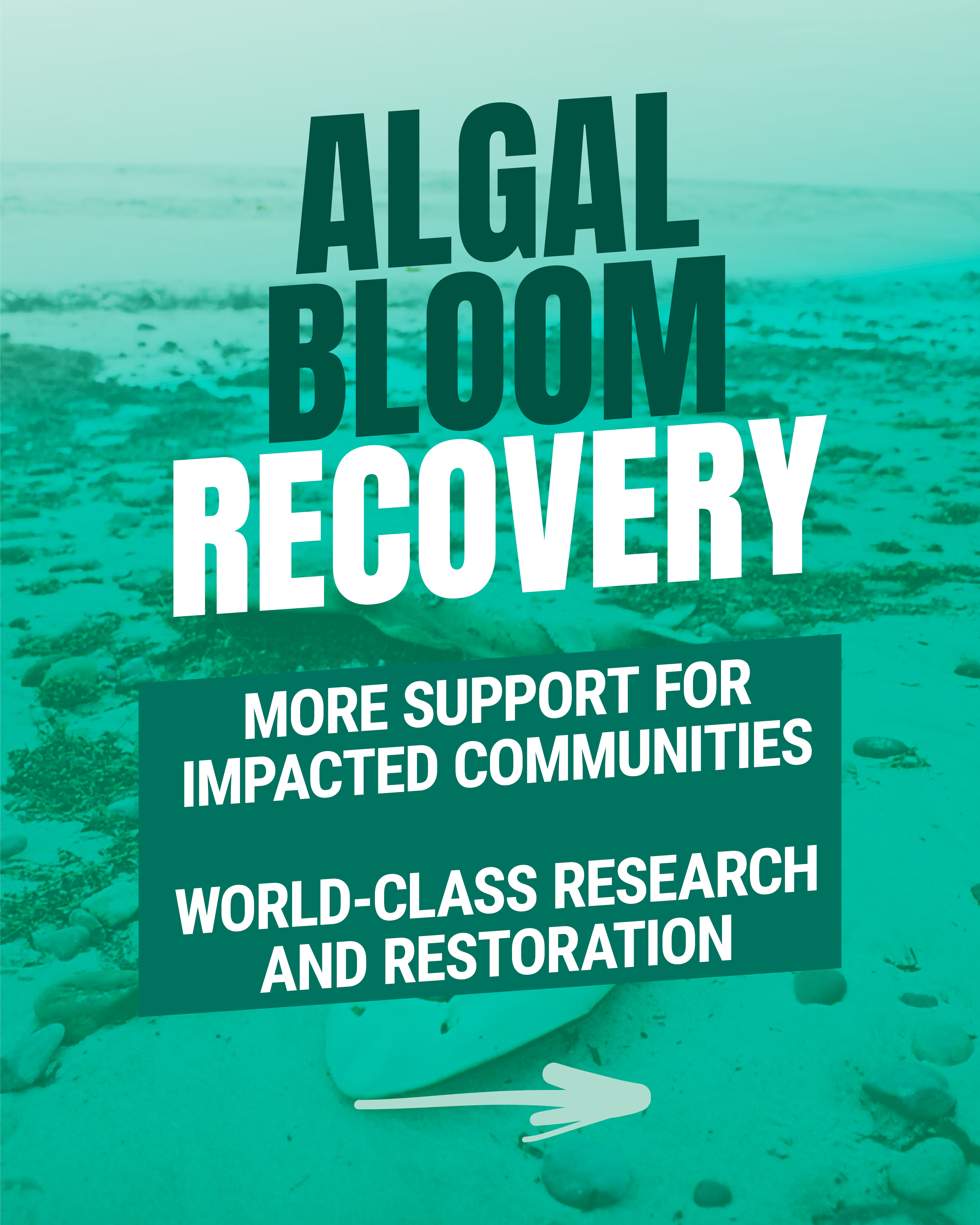 Algal Bloom Recovery