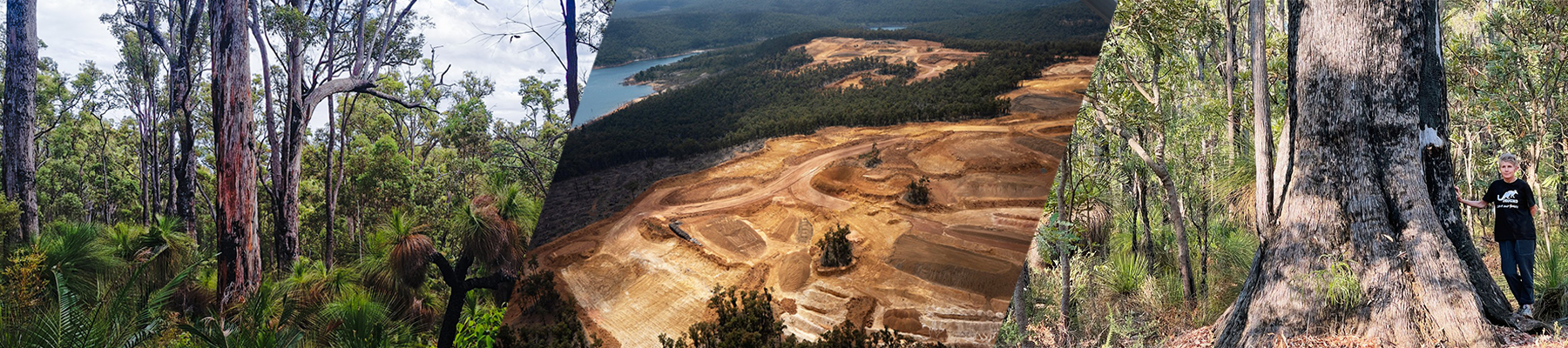 Images of the Jarrah Forests and Serpentine Dam