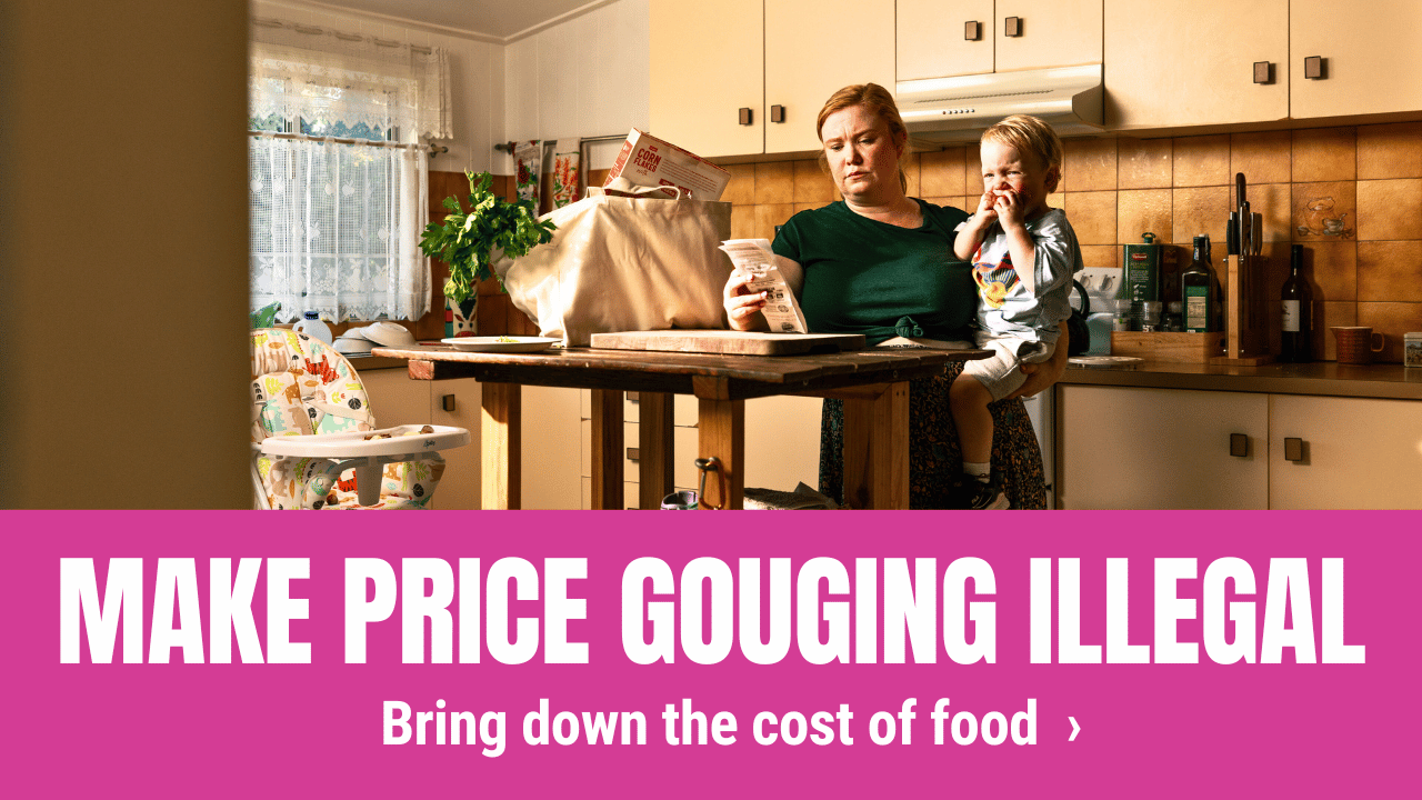 Make price gouging illegal