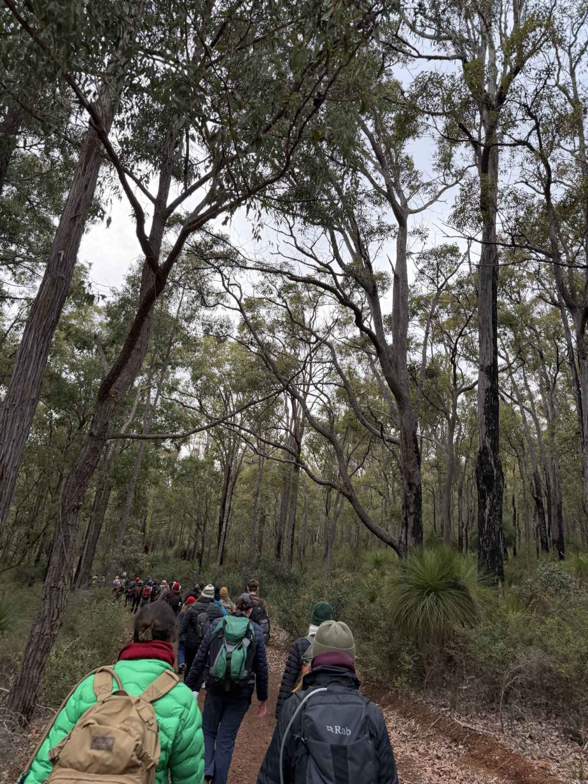 Jarrah Walk