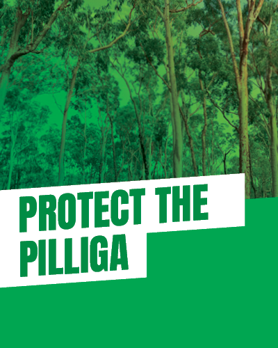 Protect the Pilliga
