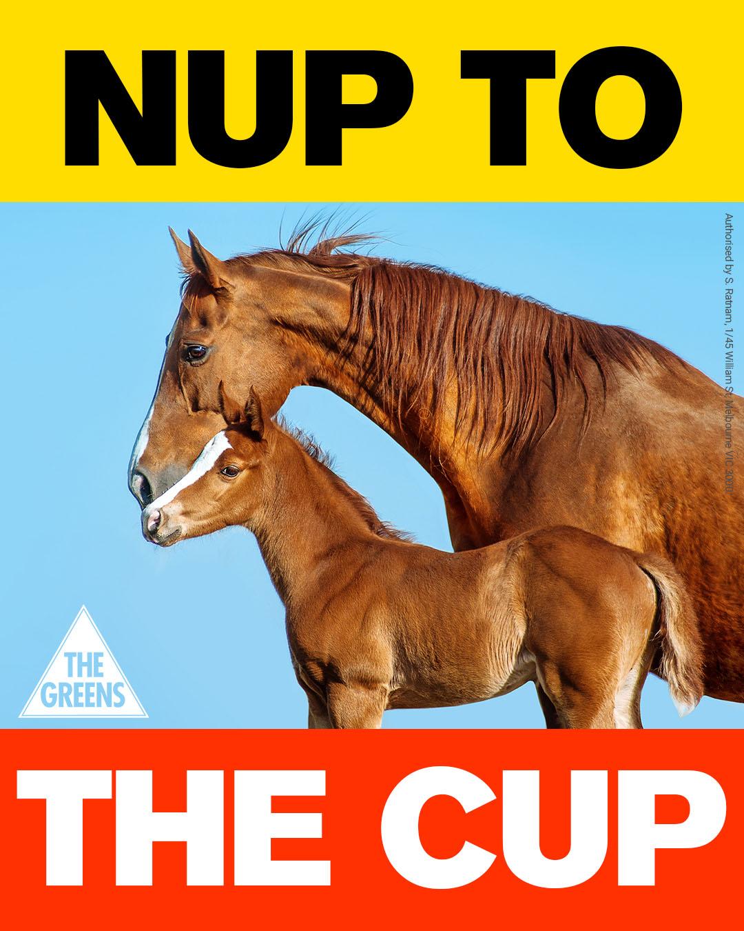 Text saying "Nup to the Cup" with photo of mother horse and baby horse.