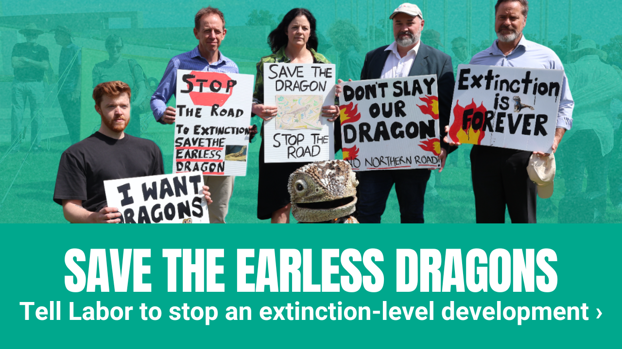'Save Canberra's Earless Dragons'