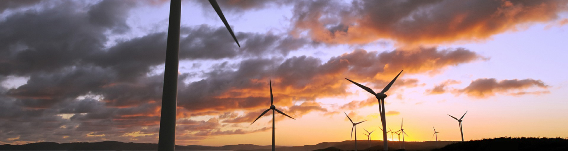 https://greens.org.au/vic/policies/energy-policy social preview image