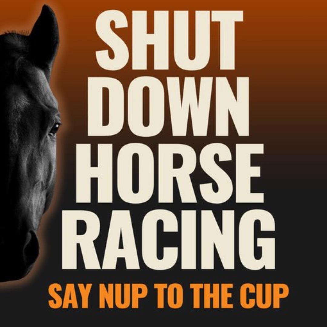Text reads shut down horse racing, say nup to the cup, image of horse on the left side of the image