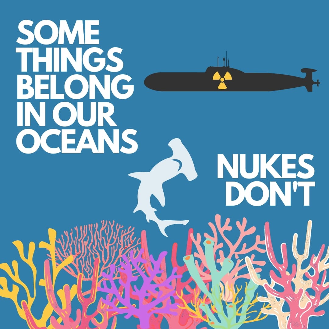 Anti nuclear subs