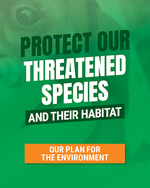Our plan for the environment Protect threatened species and their habitat