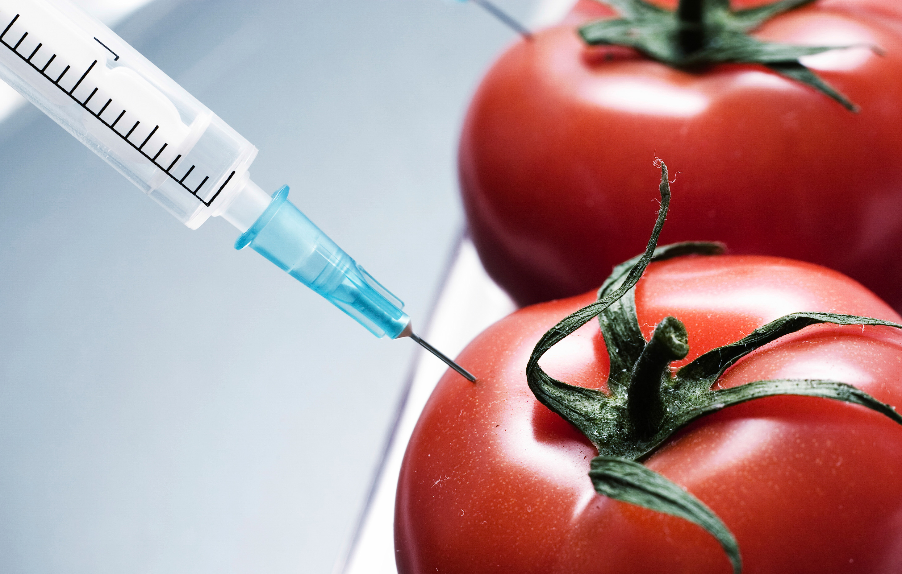 Genetic Modification | Greens WA