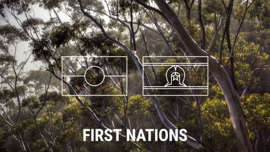 Australian Greens First Nations Network