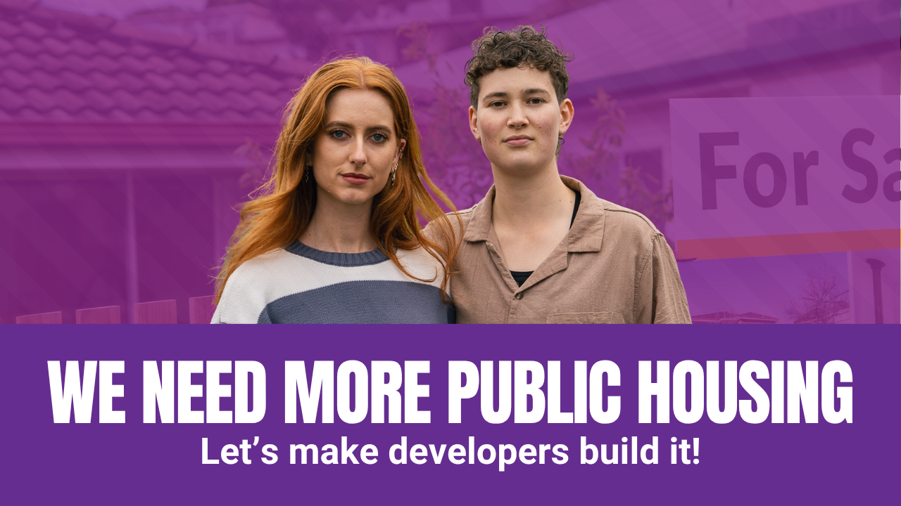 'More Public Housing'