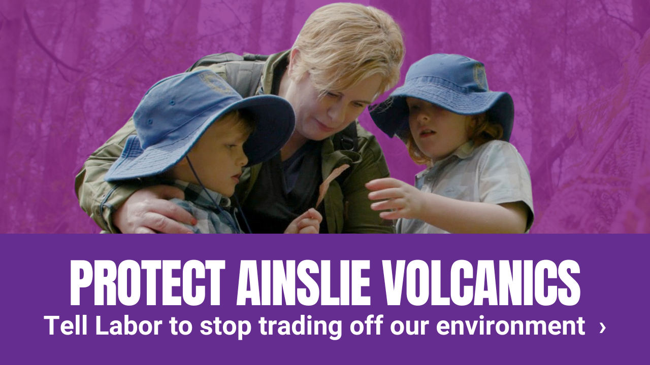 'Save Ainslie Volcanics'