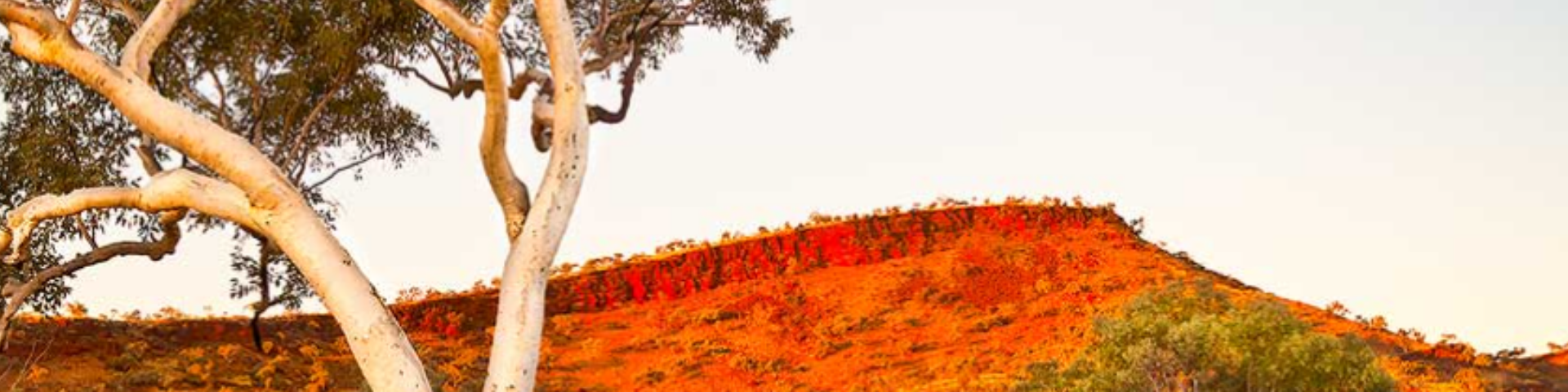 pilbara landscape