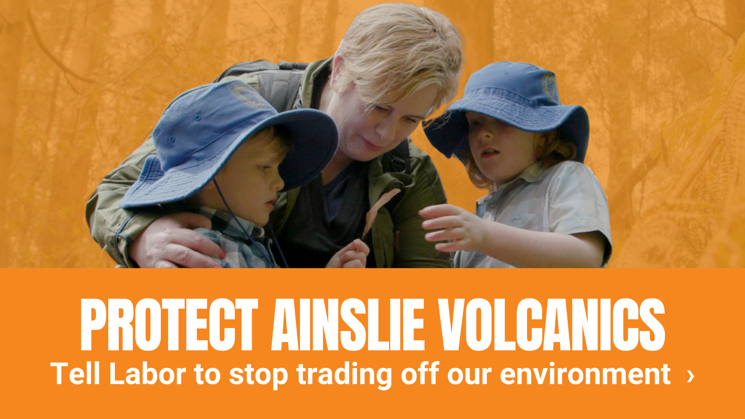 'Save Ainslie Volcanics