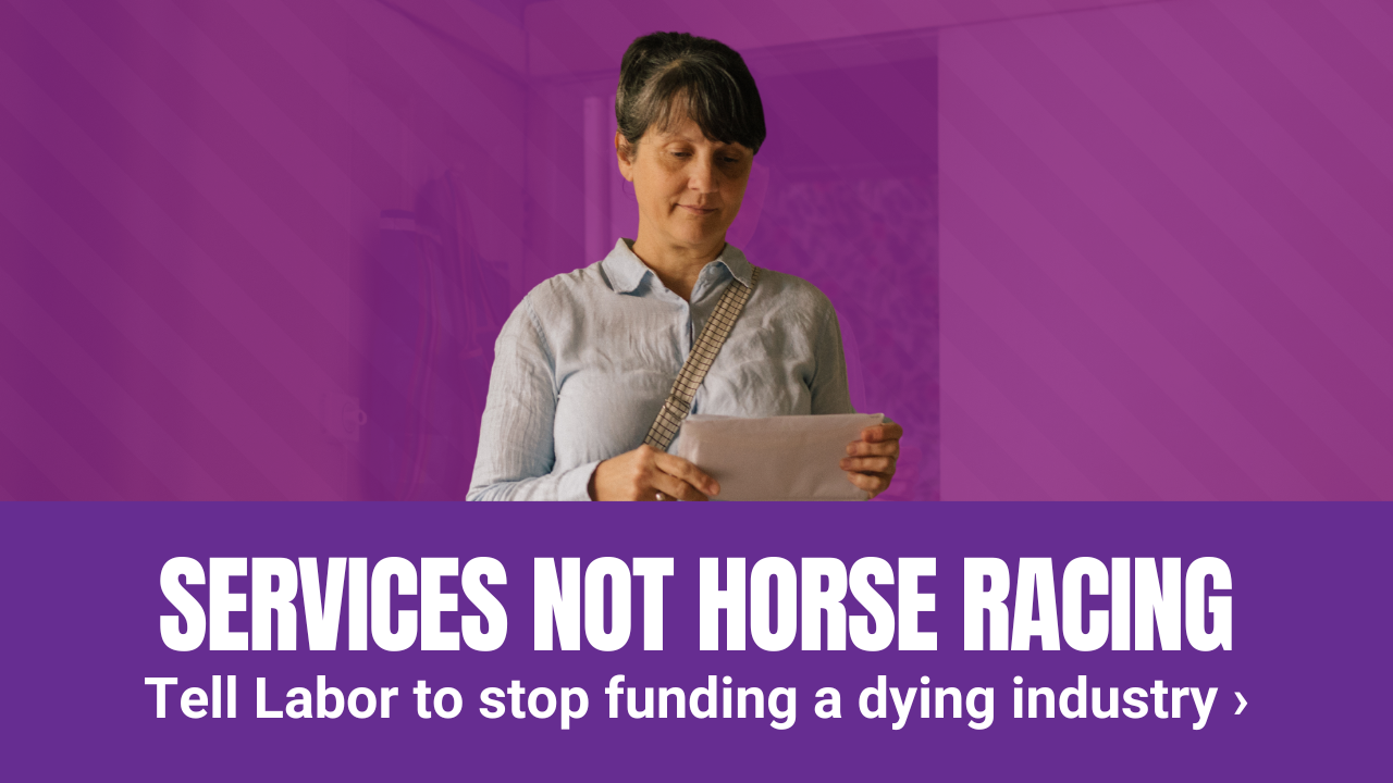 'Fund Services, Not Horse Racing'