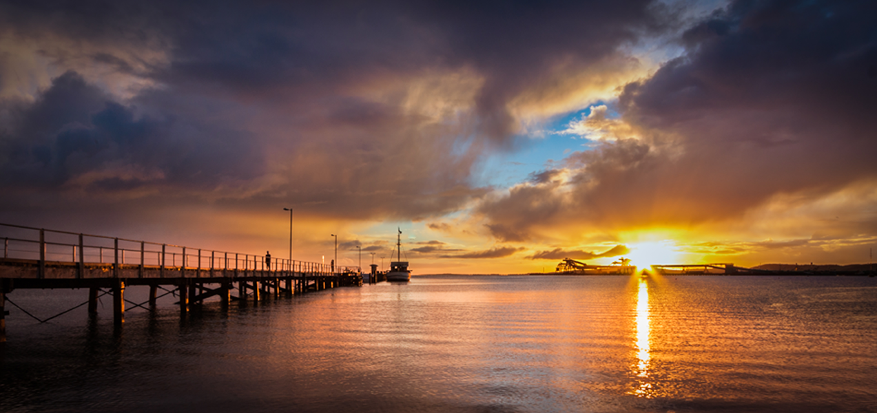 Our State Mps Sa Greens