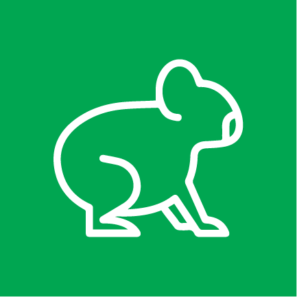 Protecting nature koala