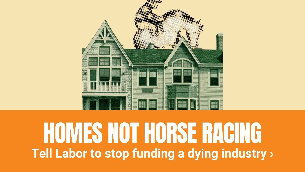 Campaign graphic showing a row of large residential houses with an illustrated horse positioned behind the rooftops. A bold orange banner across the bottom contains the text: HOMES NOT HORSE RACING and Tell Labor to stop funding a dying industry.