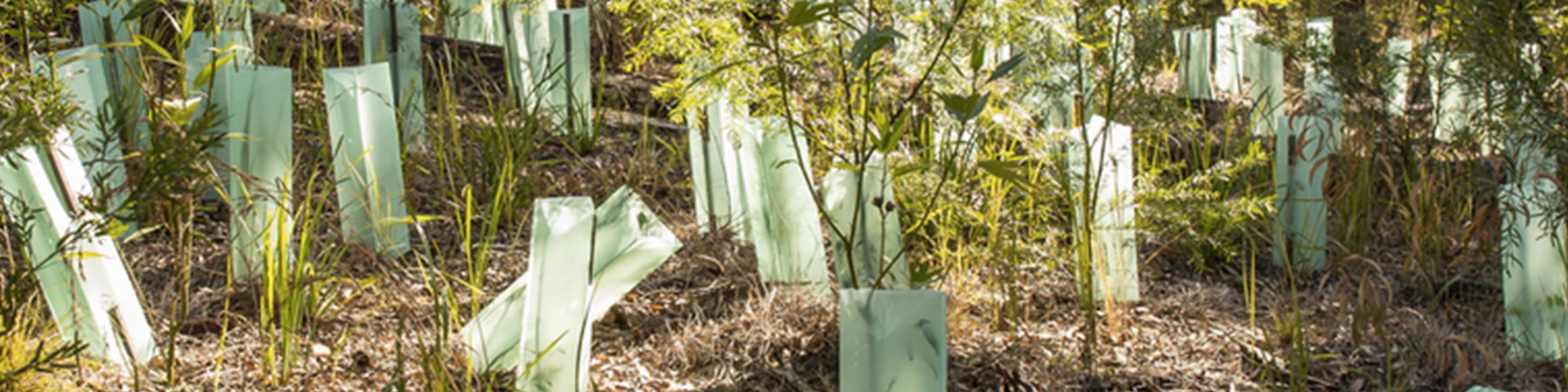 Protecting the environment