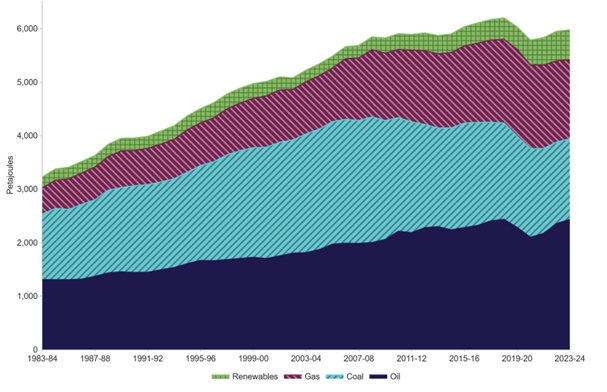 Energy consumption fuel type