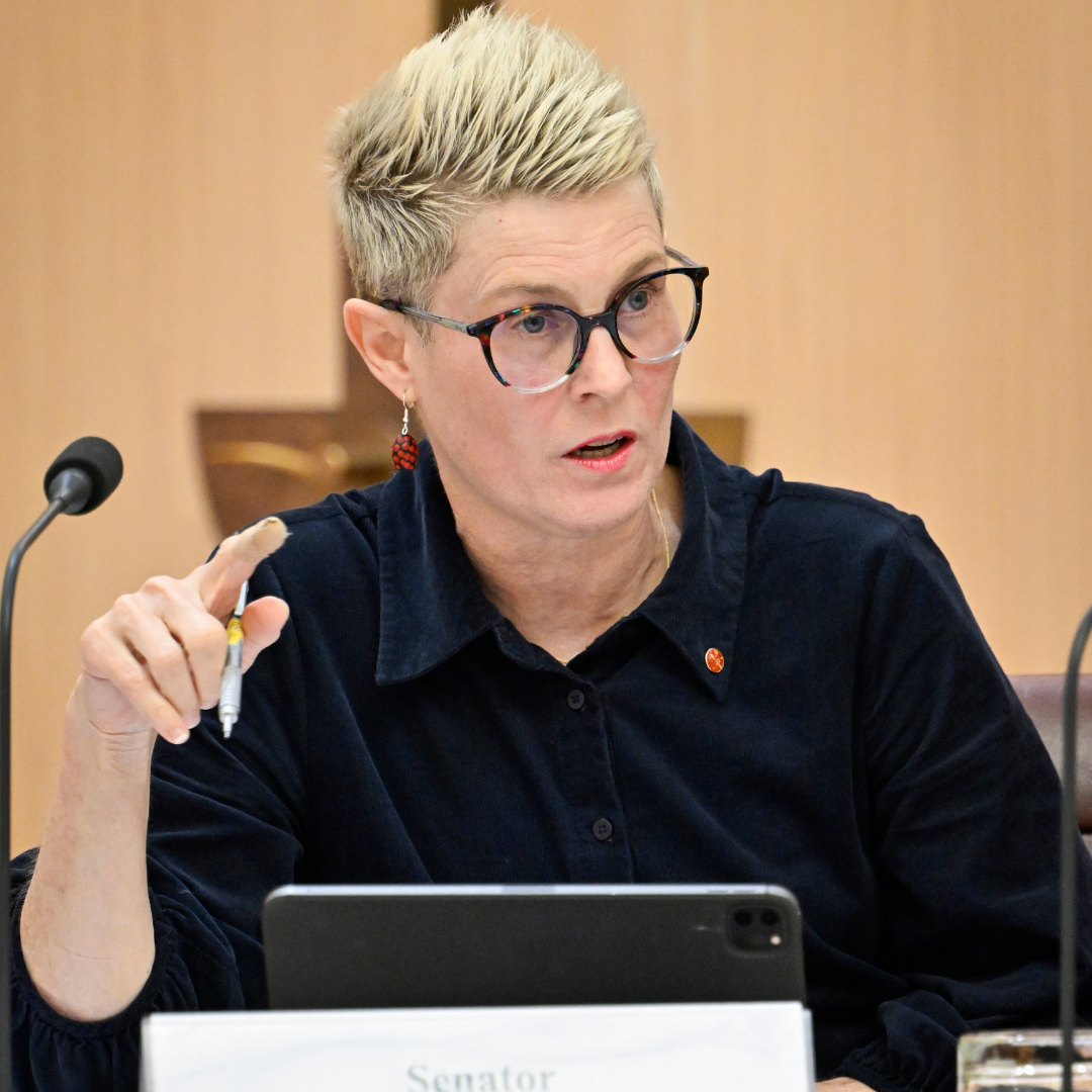 Picture of Senator Penny Allman-Payne speaking in Parliament Inquiry